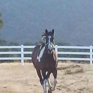 Meet your Posher, Sherry